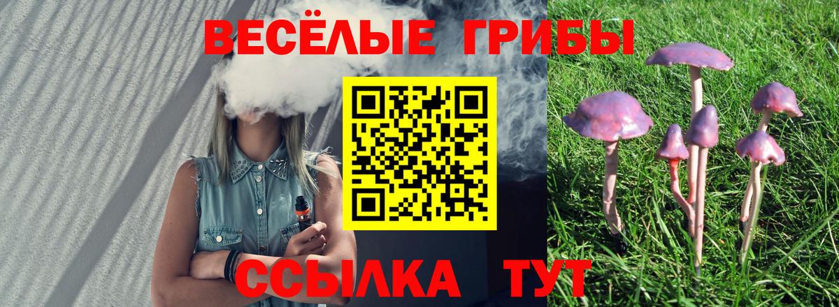 Псилоцибиновые грибы мухоморы  продажа наркотиков  Йошкар-Ола  Вход с VPN 